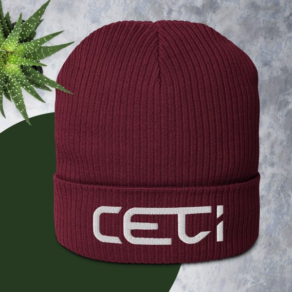 CETI Organic ribbed beanie - Image 3